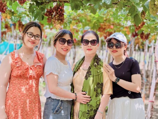 top-5-vuon-nho-dep-noi-tieng-nhat-vinh-hy-phan-rang