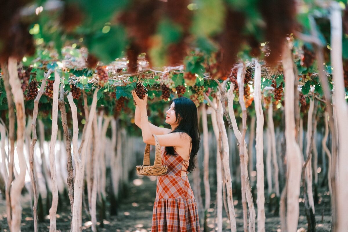 top-5-vuon-nho-dep-noi-tieng-nhat-vinh-hy-phan-rang