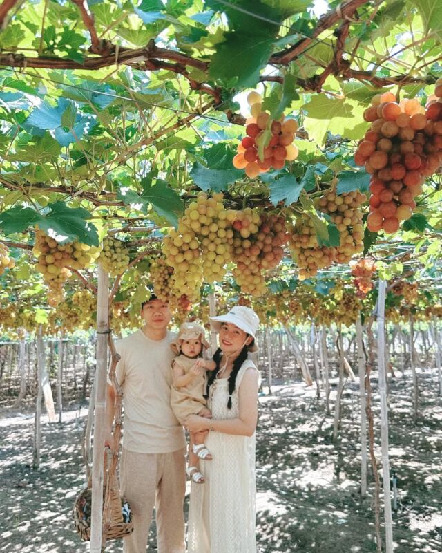 Tour Cano Vĩnh Hy Hot Nhất 2026