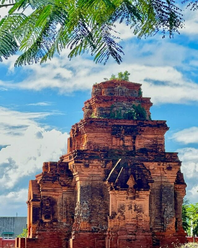 Tour Ninh Thuận trong ngày 2026