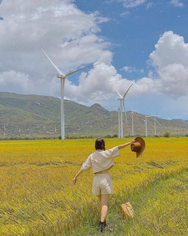 tour ninh thuận trong ngày2026