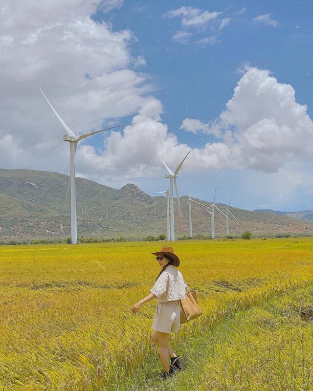 tour ninh thuận trong ngày 2026